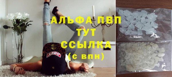 индика Аркадак