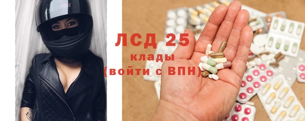 гидра Арсеньев