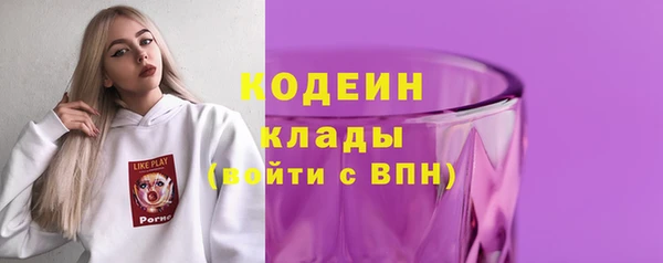 гидра Арсеньев