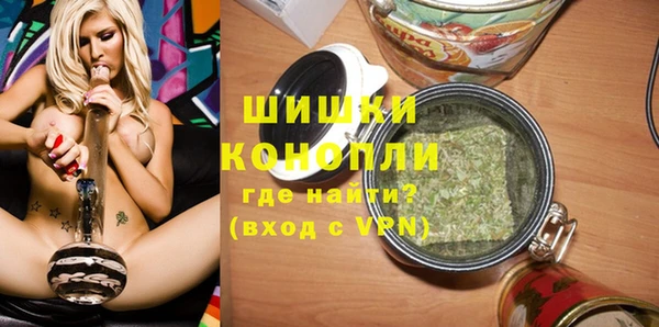 гидра Арсеньев
