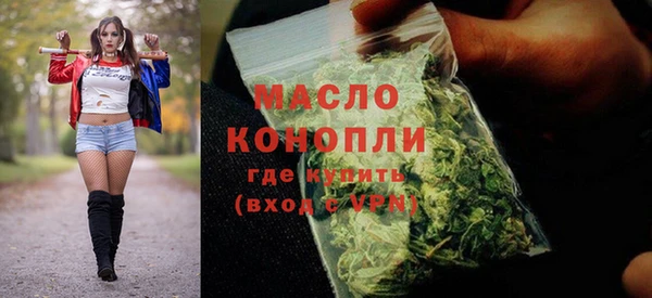 гидра Арсеньев
