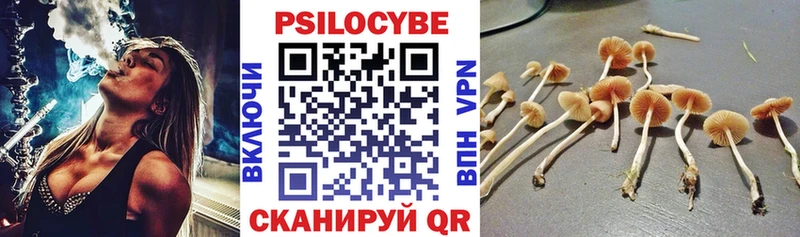 Галлюциногенные грибы ЛСД  как найти   Боготол 